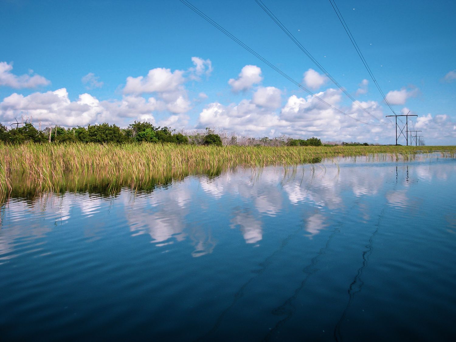 Calm wetland waters reflecting white clouds and power lines under bright blue sky.