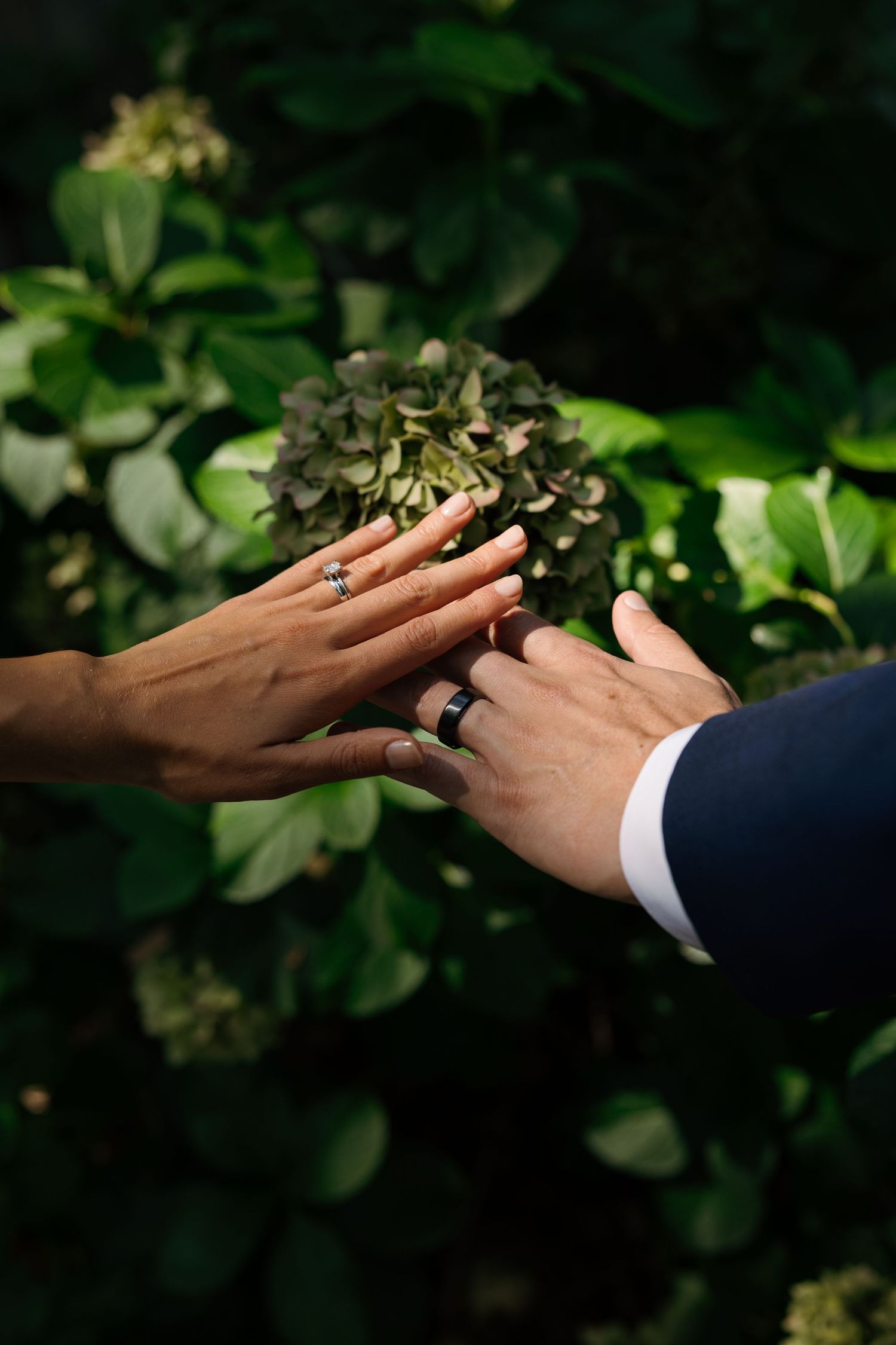 Two hands wearing wedding rings touch against a backdrop of green foliage in a romantic wedding photograph.