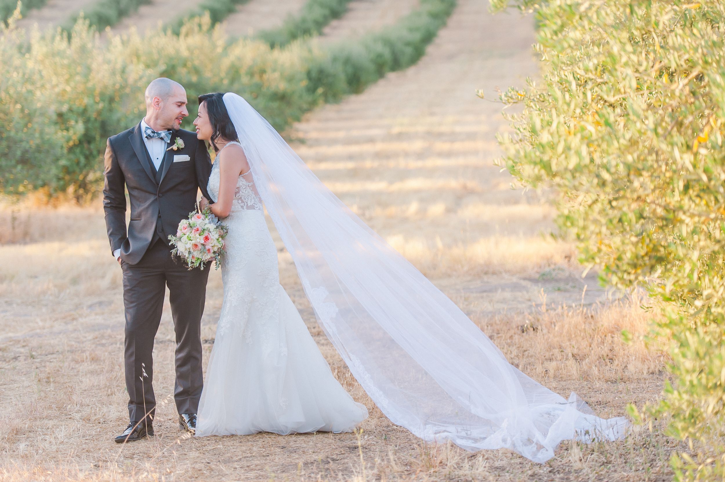 Newlyweds walking together with flowing veil in vineyard setting.