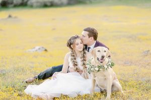 A couple sits together in a yellow wildflower field with their happy Labrador wearing a floral wreath.