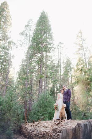 A couple stands on a fallen log in a sunlit evergreen forest with their dog surrounded by tall pine trees.