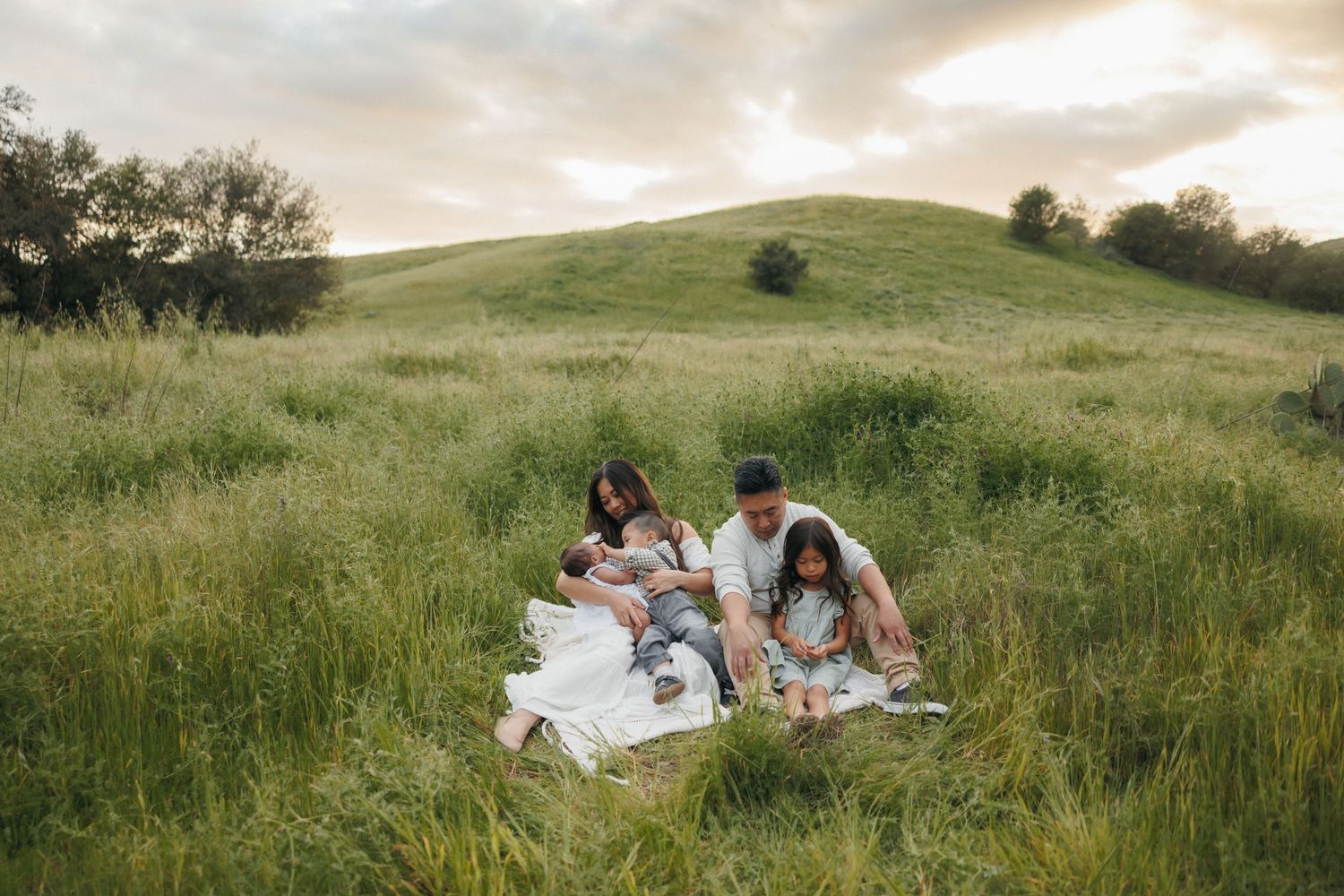 Family of four enjoying a picnic in a lush green meadow at sunset, sitting together on a white blanket.