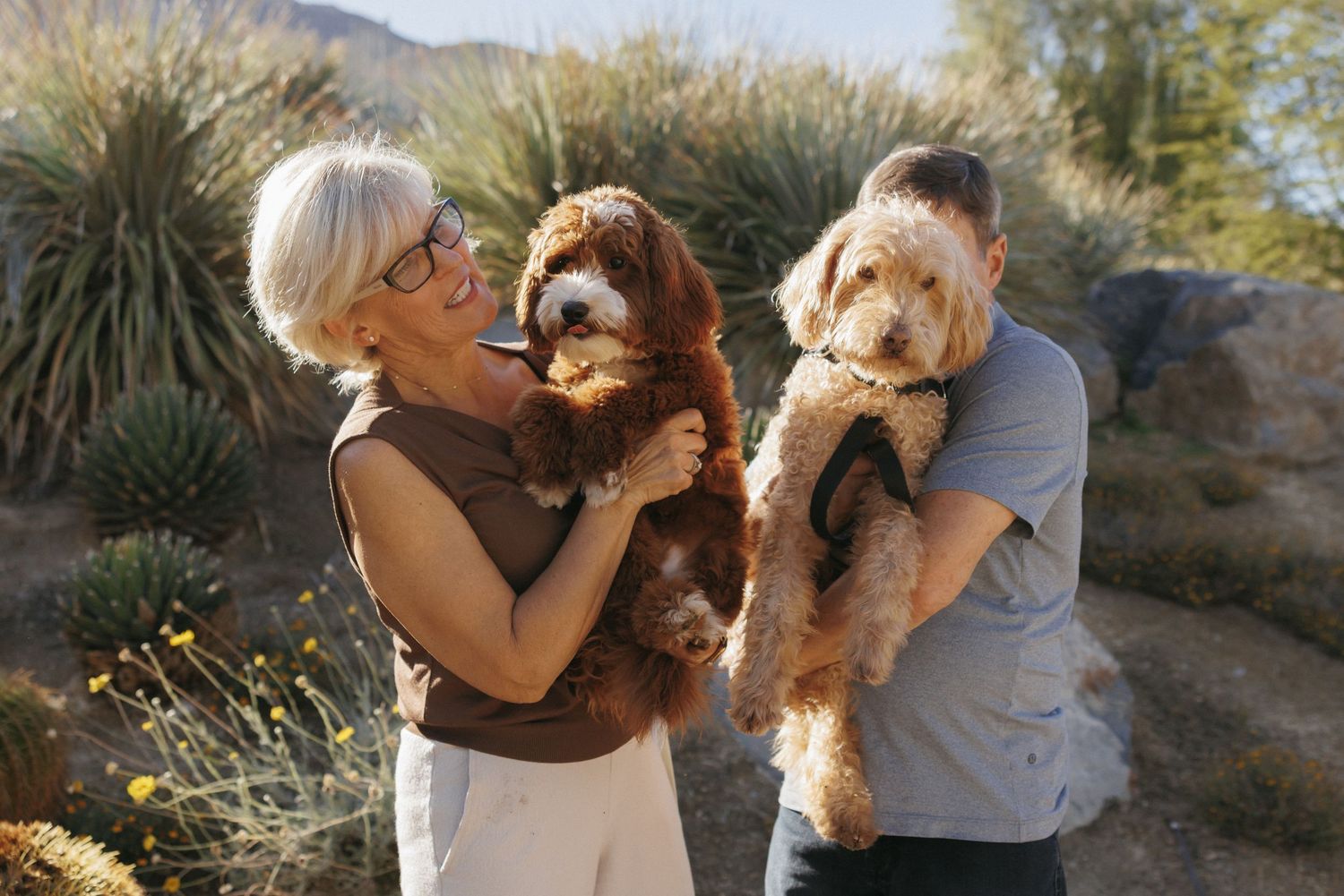 Two people holding fluffy doodle dogs outdoors in a desert landscape with cacti and yellow wildflowers.
