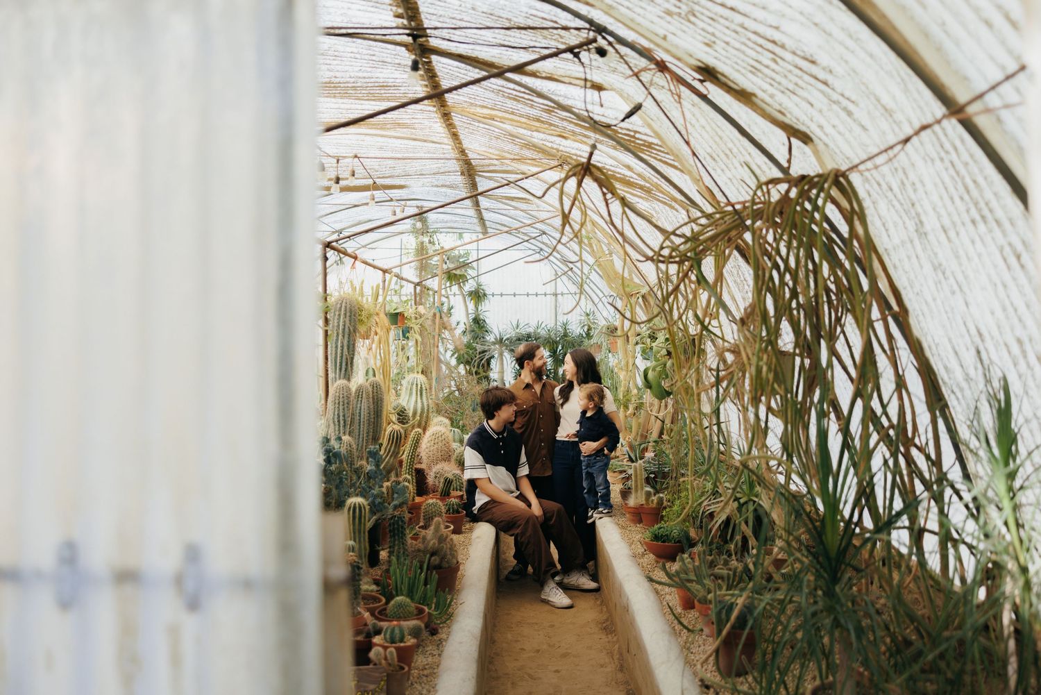 People exploring a lush greenhouse filled with cacti and tropical plants in a glass-roofed botanical garden.