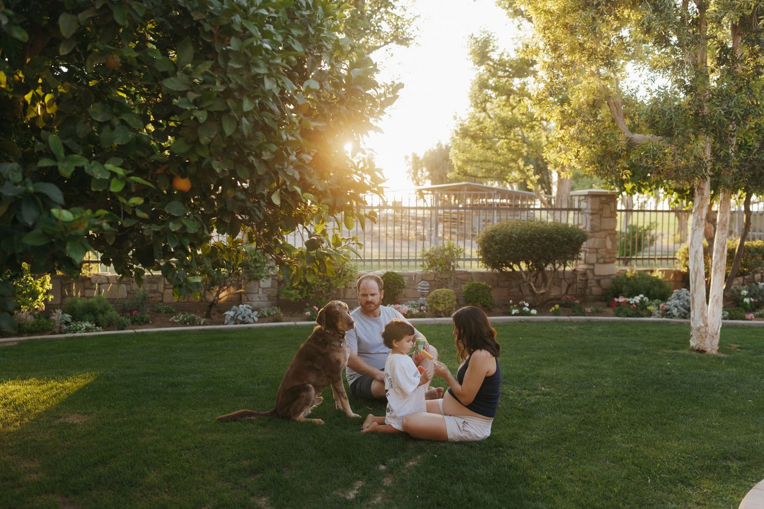 Family sitting on green grass with a dog at golden hour in a lush backyard garden.
