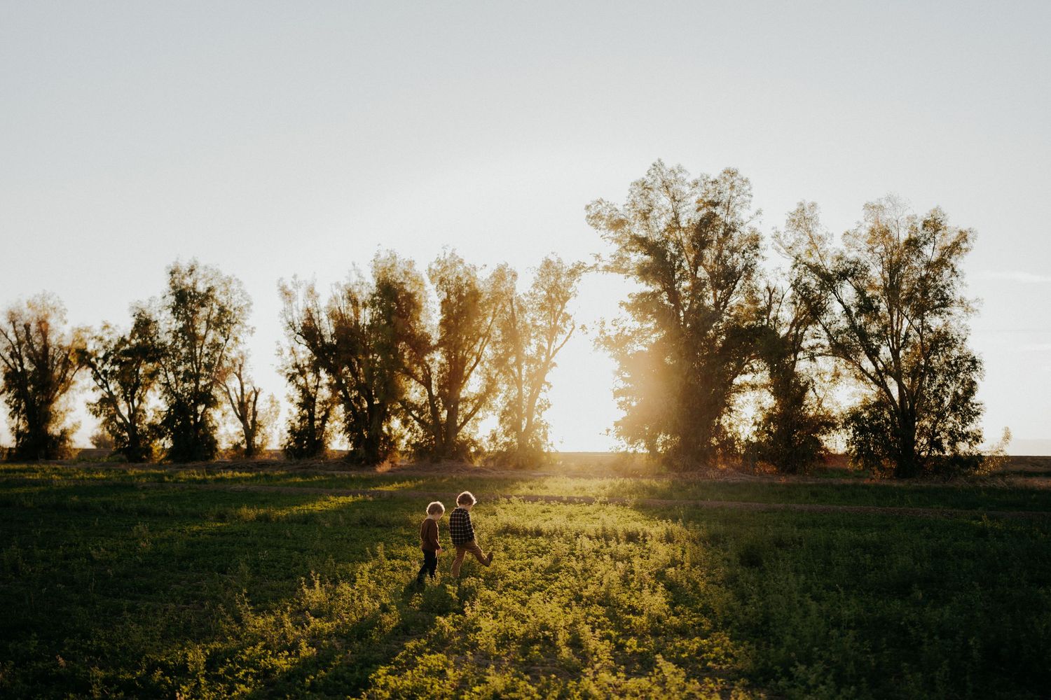 Two people walk through a sunlit green field toward golden trees at sunset on a warm summer evening.
