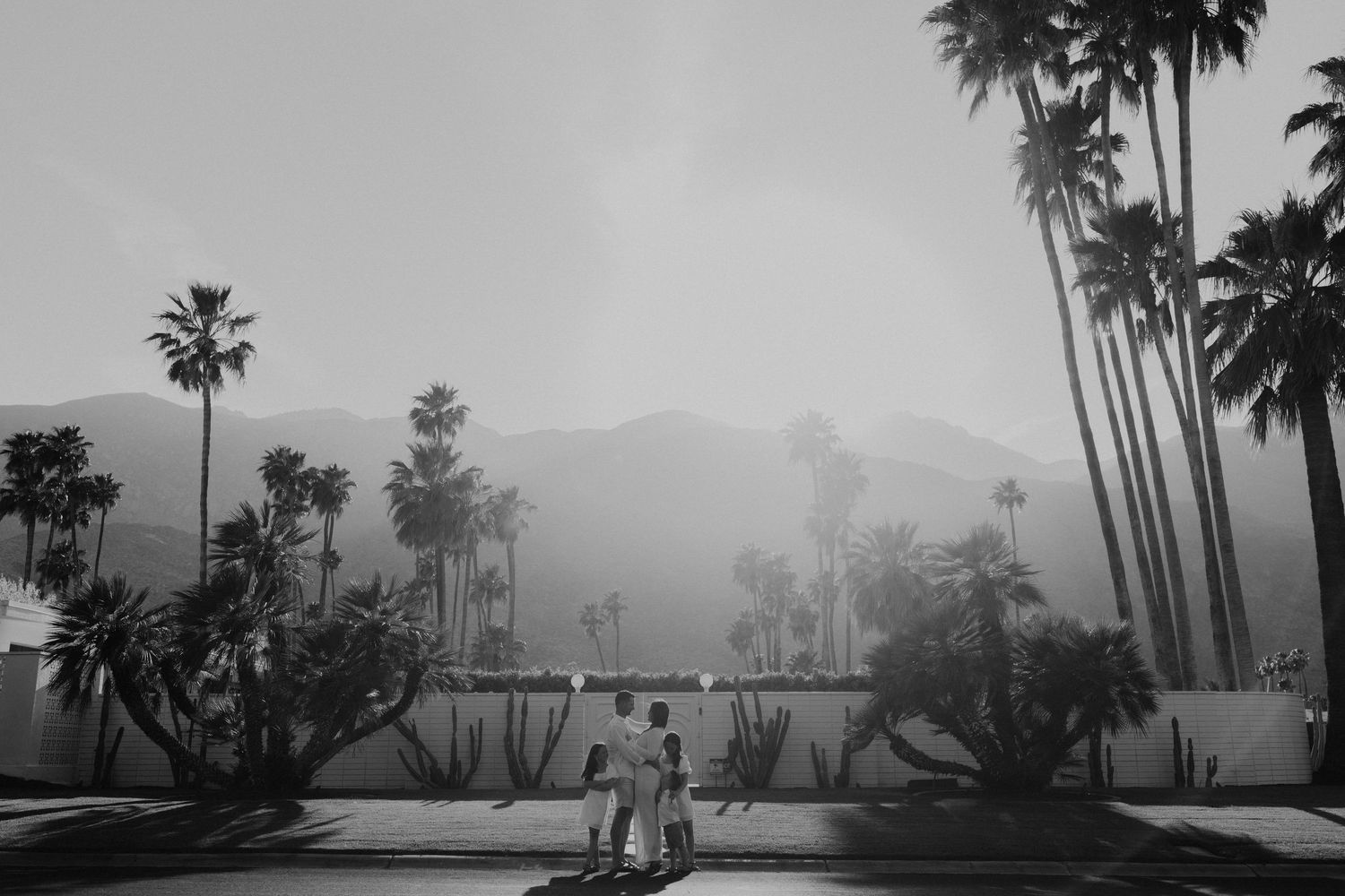 Black and white photo of a couple holding hands among tall palm trees with misty mountains in Palm Springs.