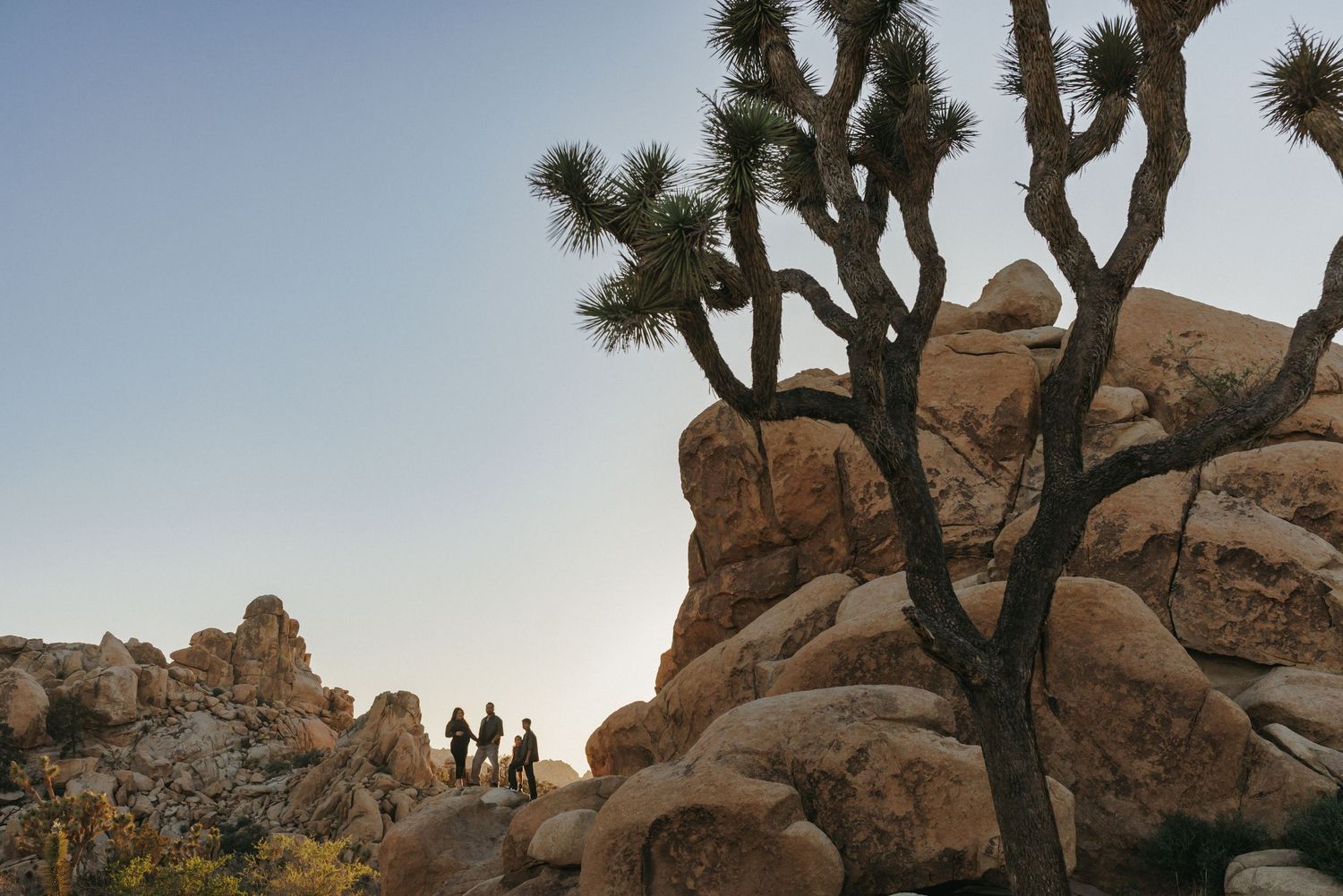 Hikers explore Joshua Tree National Park among giant boulders and iconic Joshua trees at dusk.
