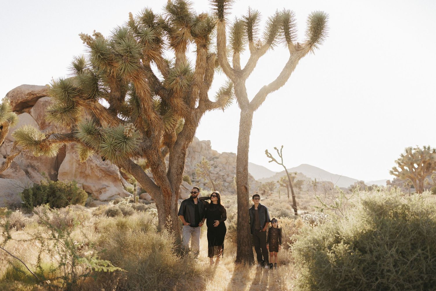 Family posing among Joshua trees and desert rocks in Joshua Tree National Park on a sunny day.
