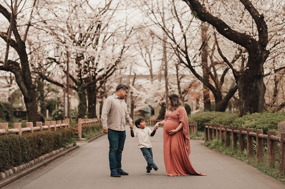 Cherry blossom trees in full bloom create a romantic backdrop for a couple strolling along a walkway in springtime.