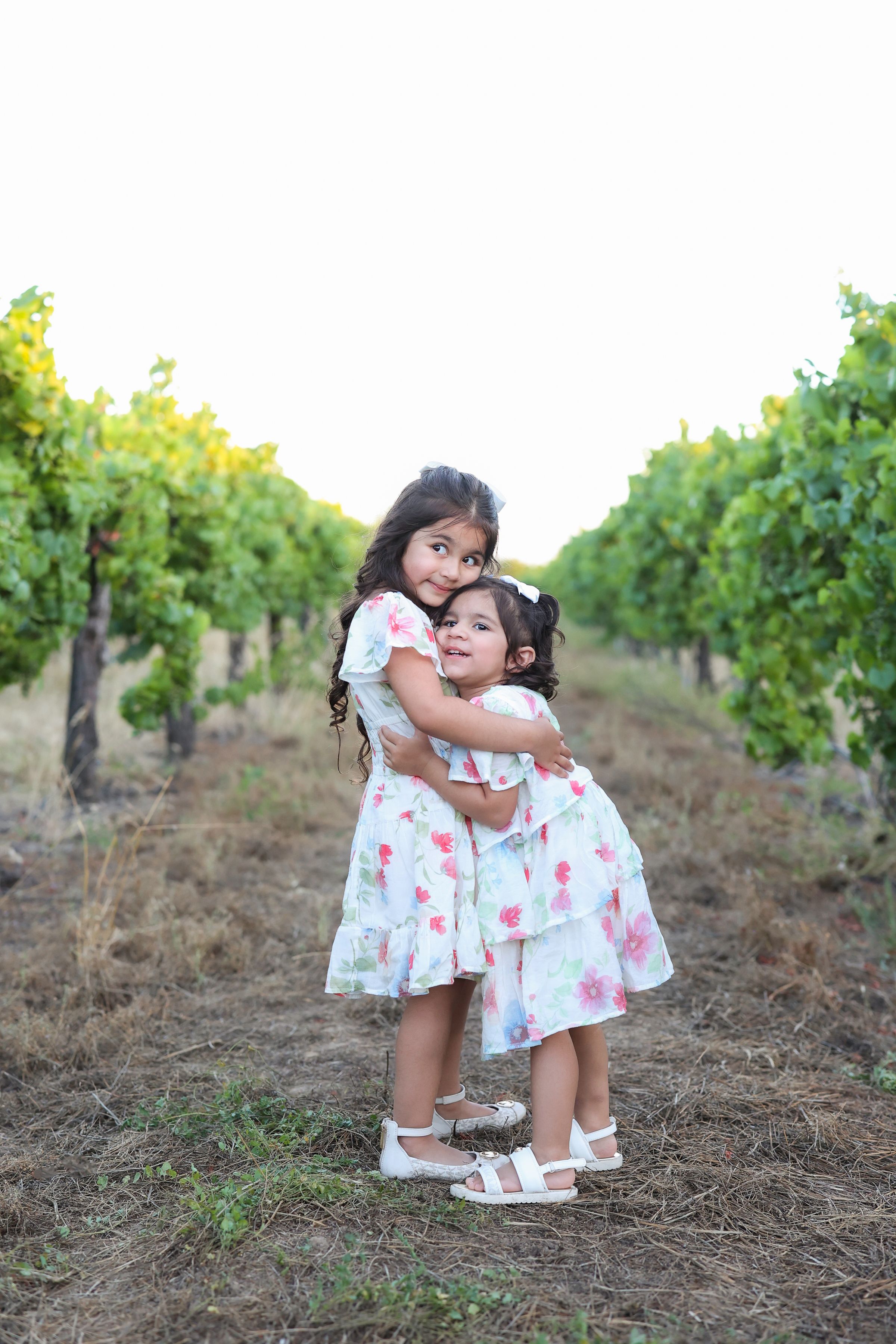 j dhillon photography lodi grape vineyard family session vineyard family session lodi ca livermore ca