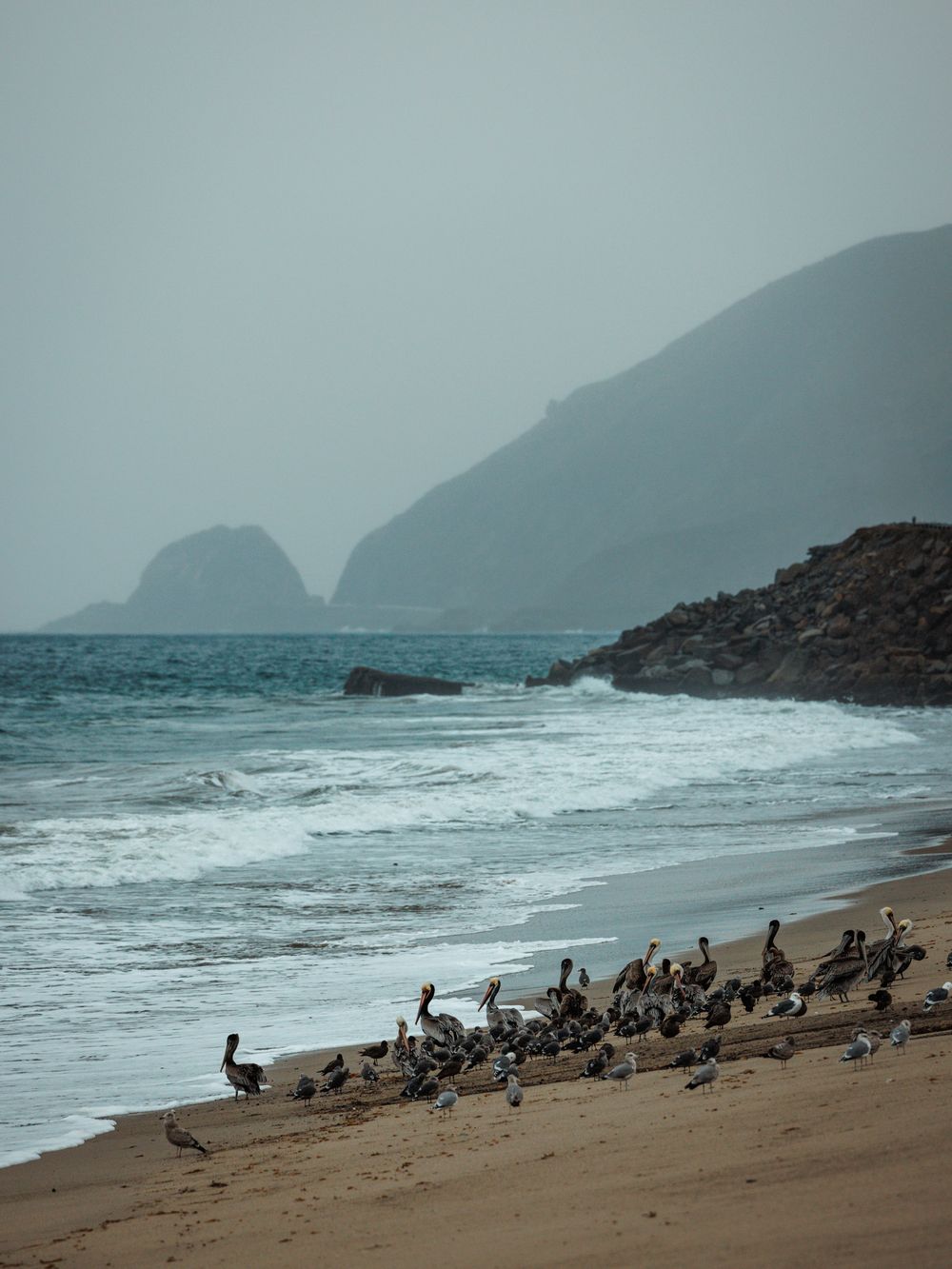 Beach in Malibu CA on a foggy day