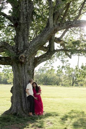A couple stands intimately together beneath a majestic old oak tree in a sunlit meadow.