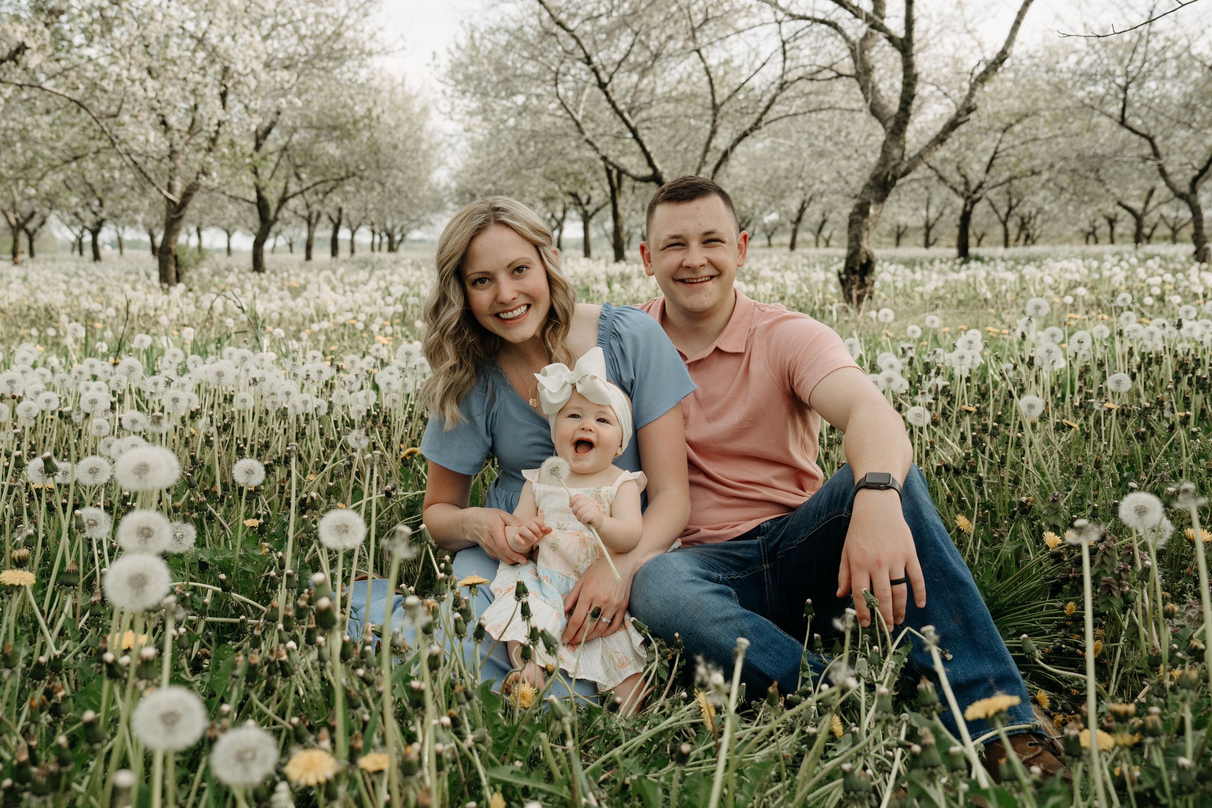 Family sits together in blooming spring orchard with white dandelions and cherry blossoms surrounding them.