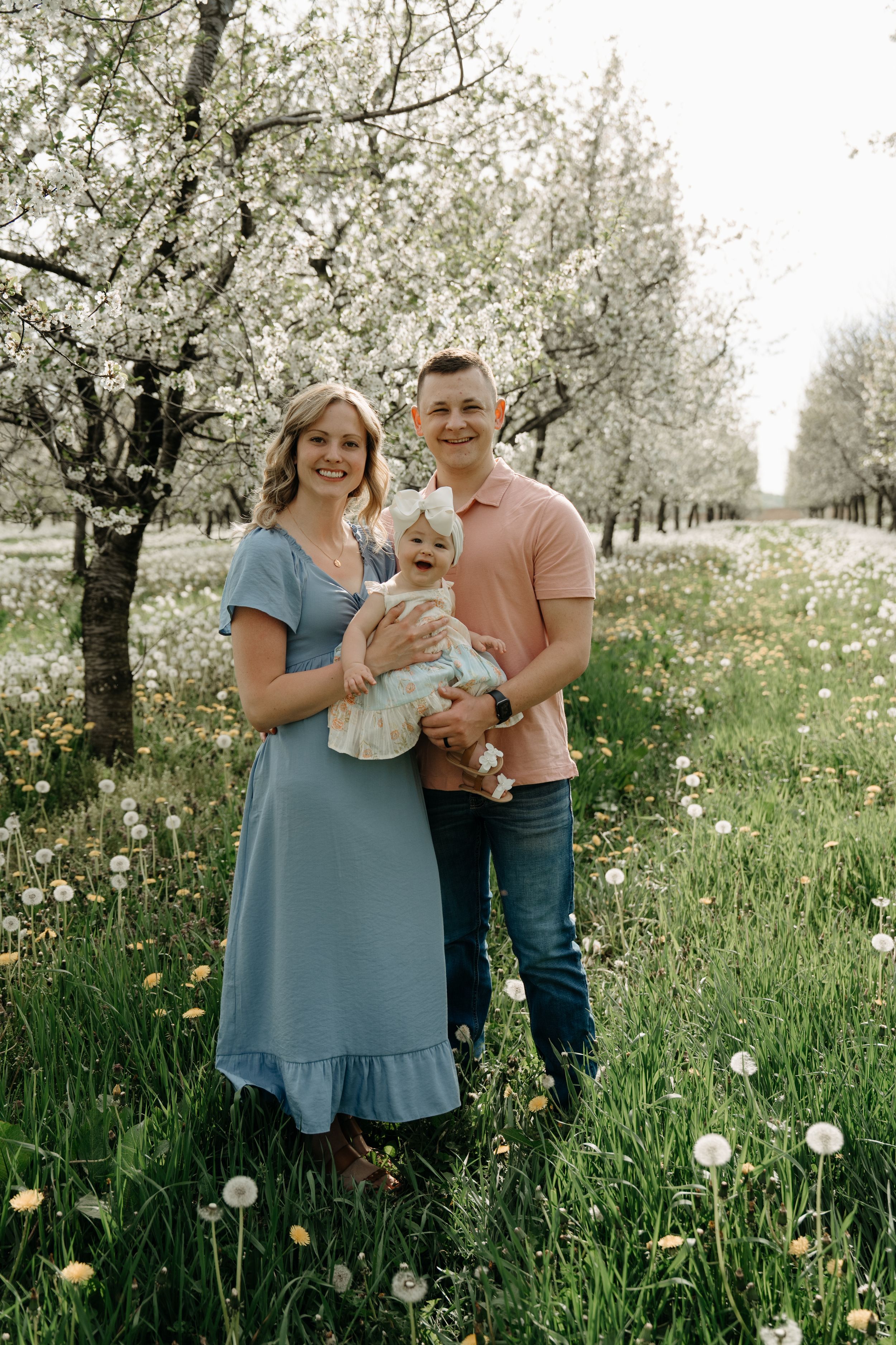 The blossoming spring orchard scene features white flowering trees and dandelions in a lush green meadow.
