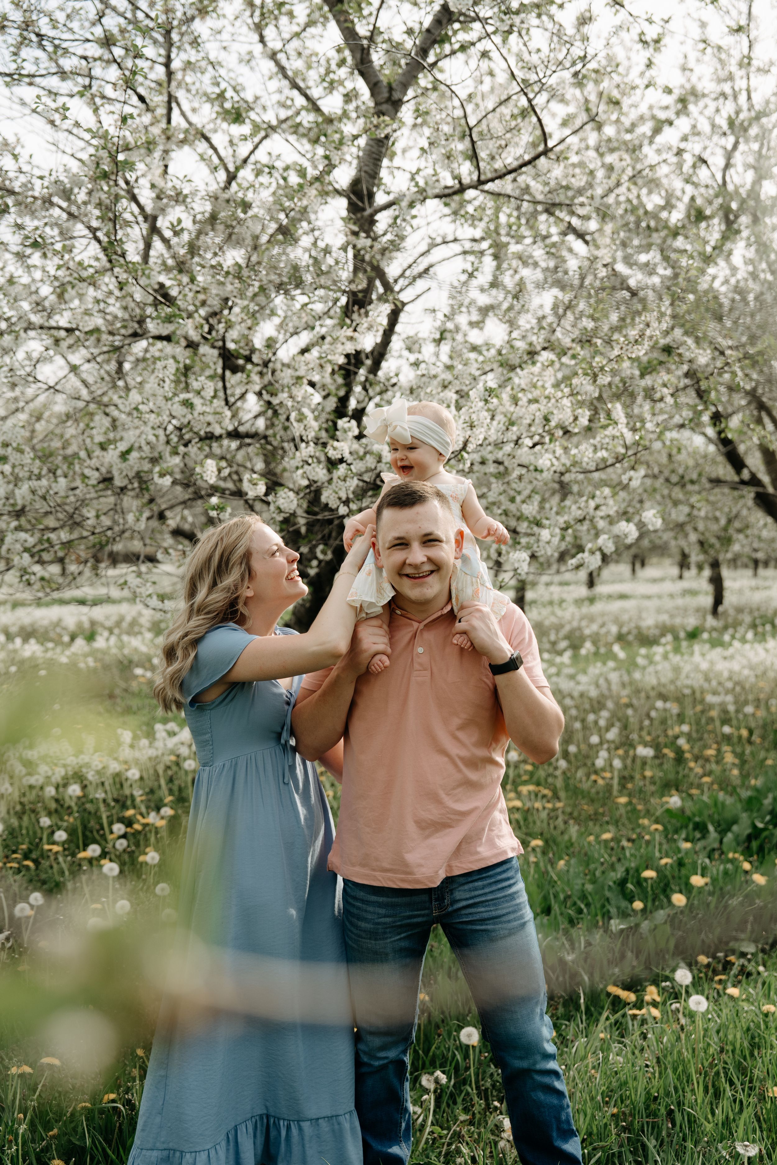 Family enjoys a spring day together in a blooming apple orchard with white flowers and green grass.