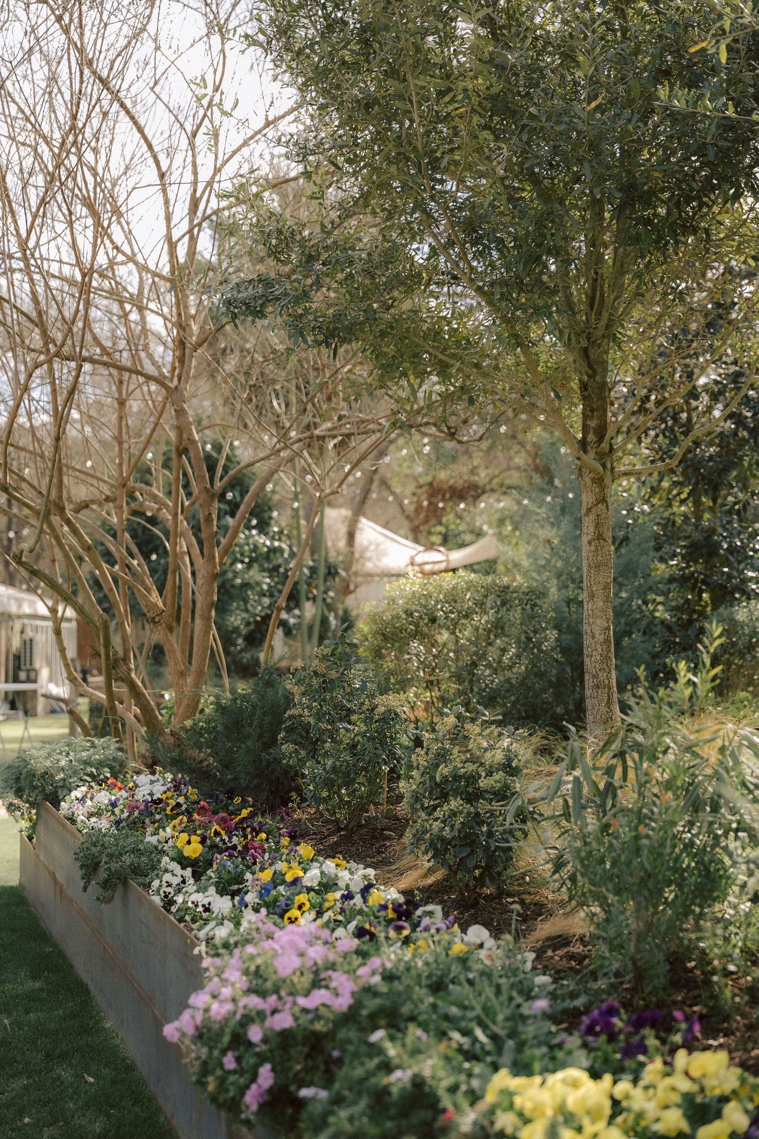 A garden path lined with colorful spring flowers in raised beds, surrounded by mature trees and greenery.