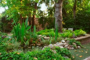 A serene garden landscape with tall grasses, rocks, and lush greenery surrounding a peaceful pond in dappled sunlight.