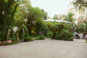 A curved gravel pathway through a garden landscape with palm trees, pink flowers, and verdant foliage along the edges.