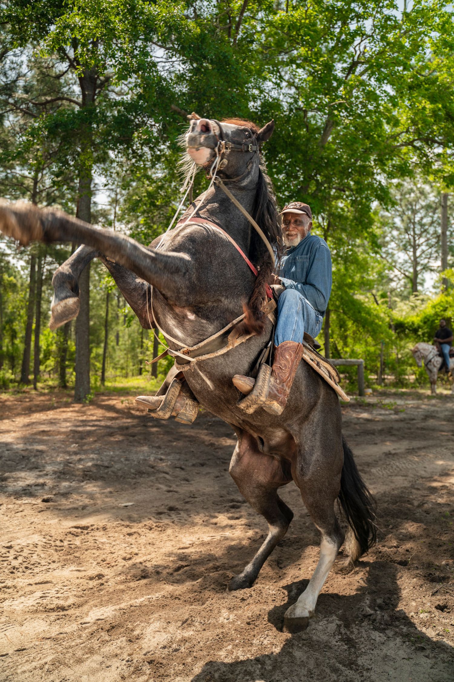 A sequence of action shots showing a horse rearing up on a dirt trail in a wooded area.