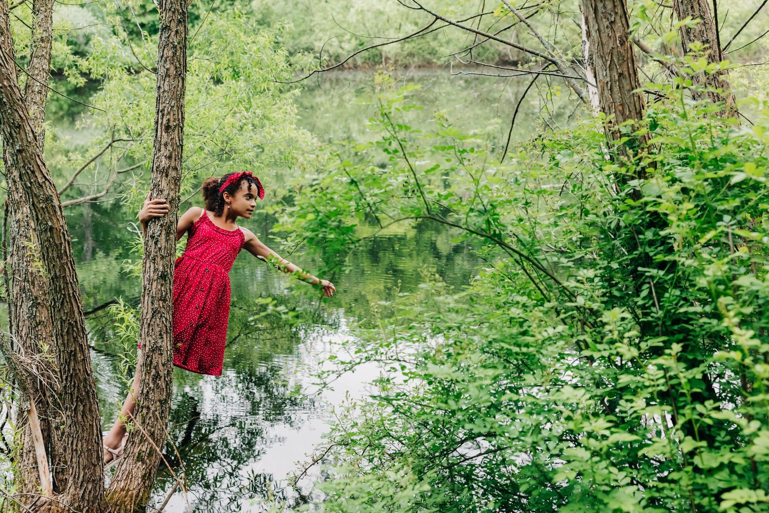 A young girl in a red dress hangs from a tree over a pond during her family session at Brooksvale Park in Hamden, CT