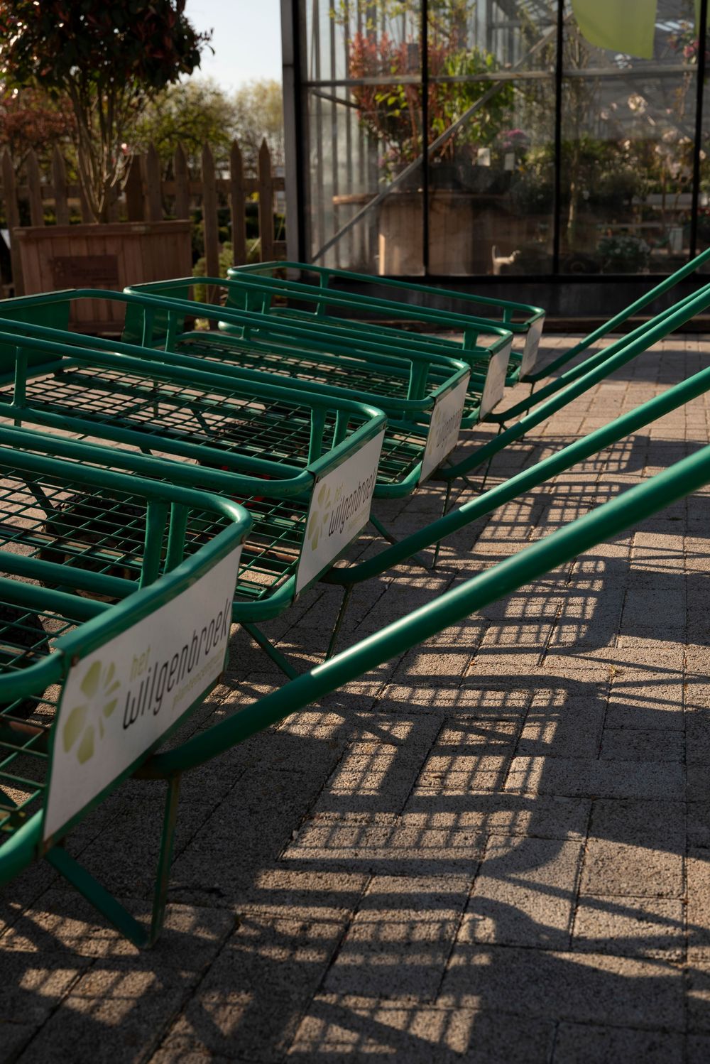 Row of green Wilgenbroek branded metal shopping carts casting shadows on a brick paved garden center path.