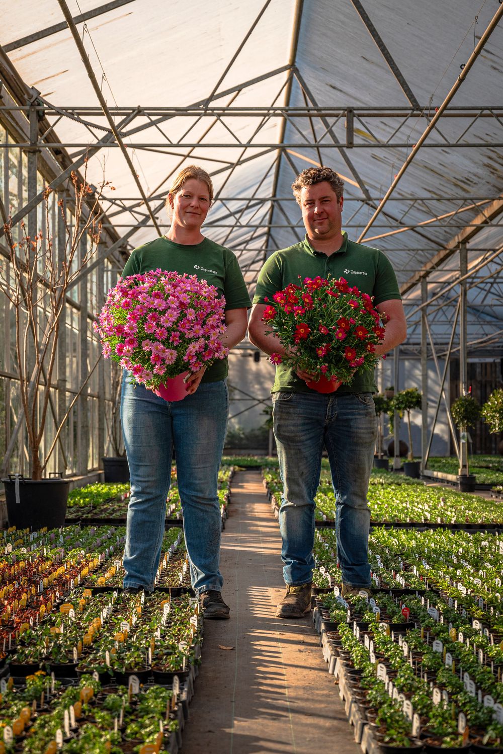 Two greenhouse workers in green shirts proudly display vibrant pink and red flowering plants in a sunlit nursery.