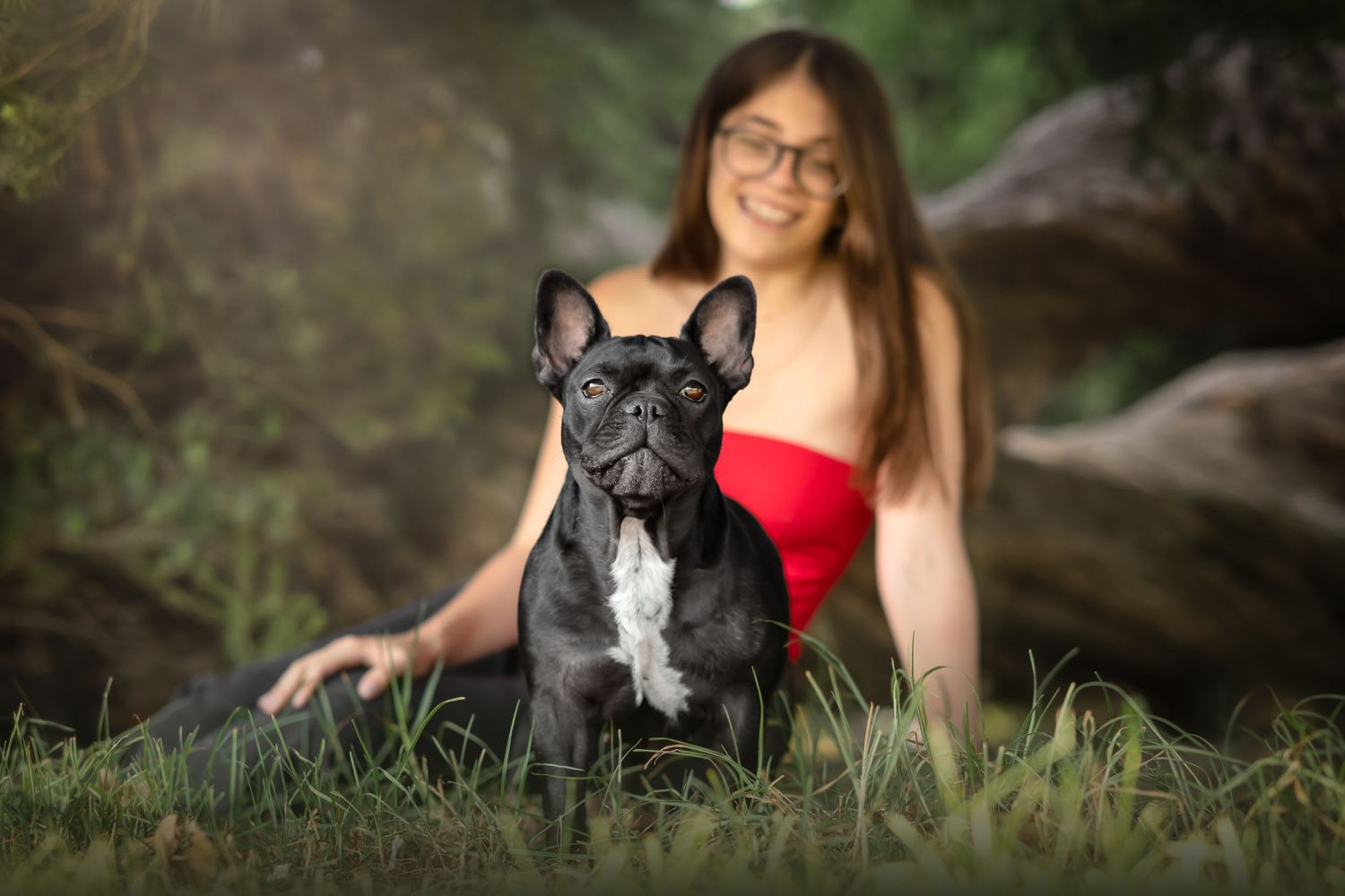 Fotografia pet - buldogue - Setúbal - cão