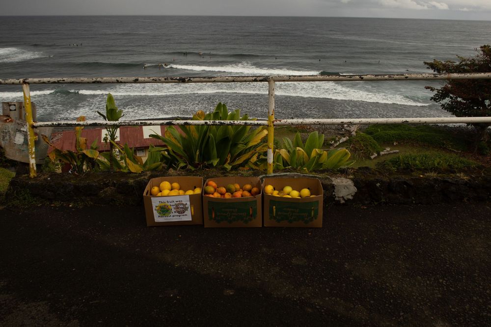 Wooden crates filled with fresh citrus fruits sit along an oceanfront deck with crashing waves in the background.