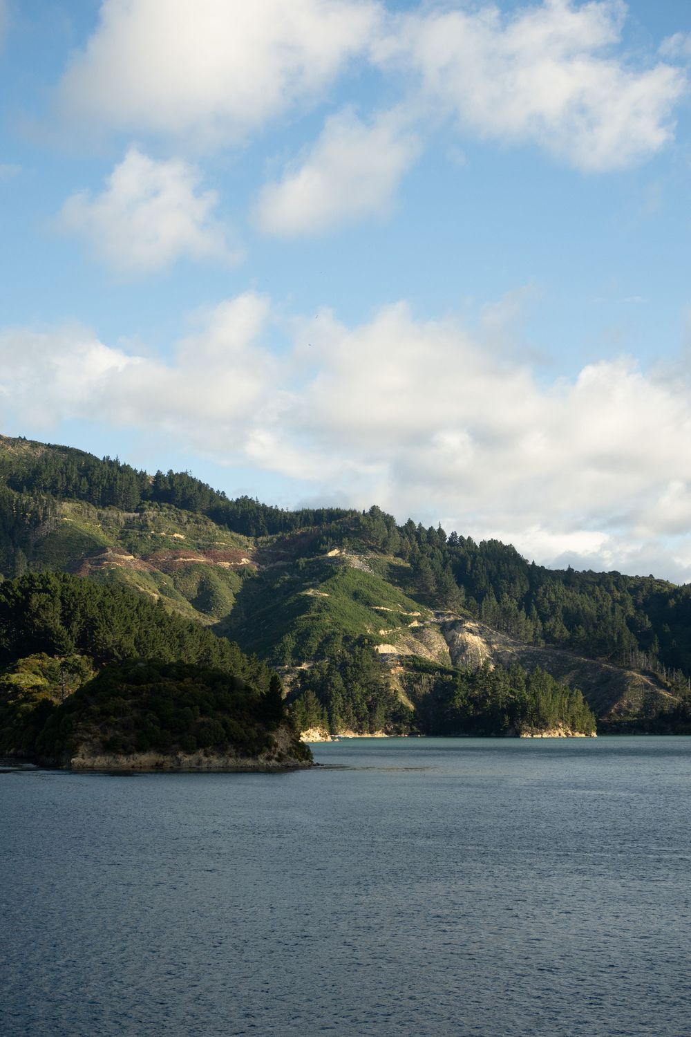 A serene lake view with forested hills and mountains in the background under a partly cloudy sky.