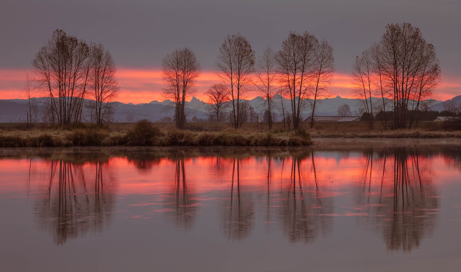 Alouette River, Pitt Meadows, British Columbia