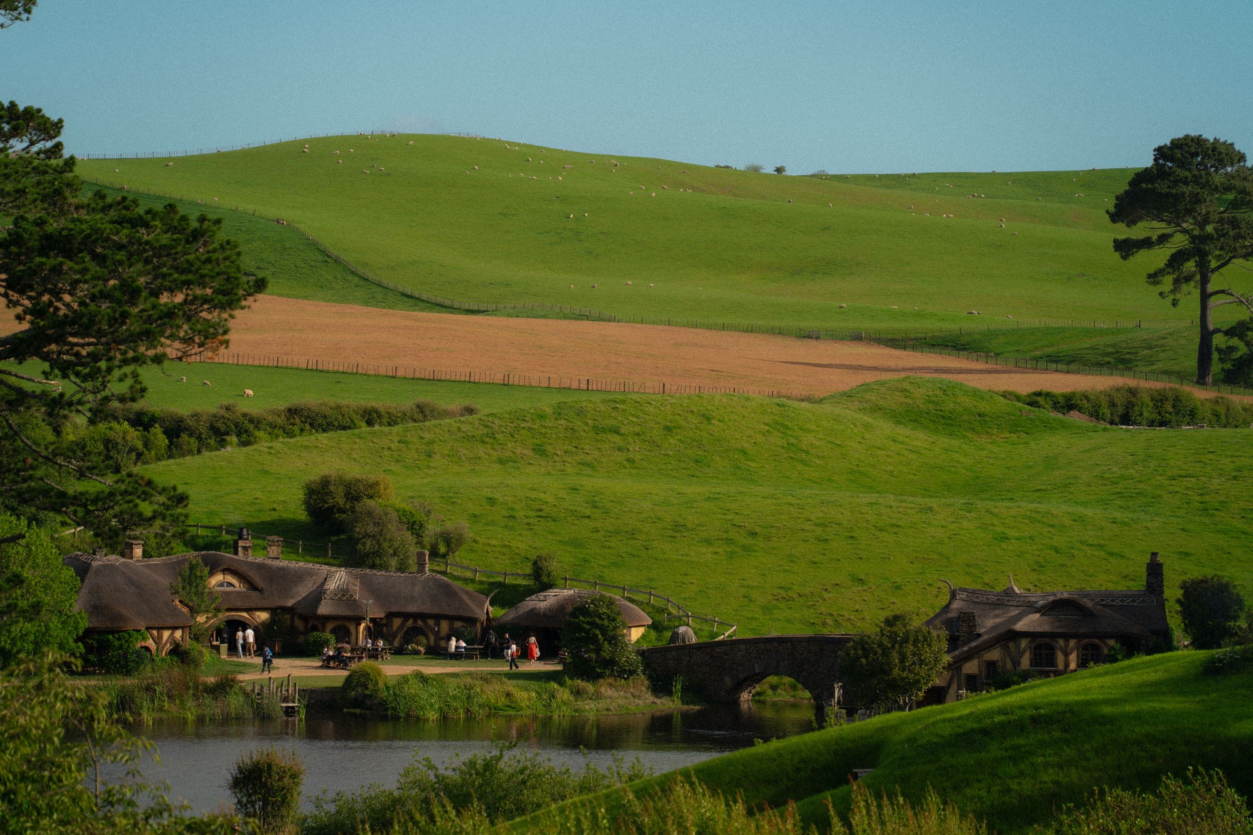 Rolling green hills with hobbit-style houses nestled into the landscape.