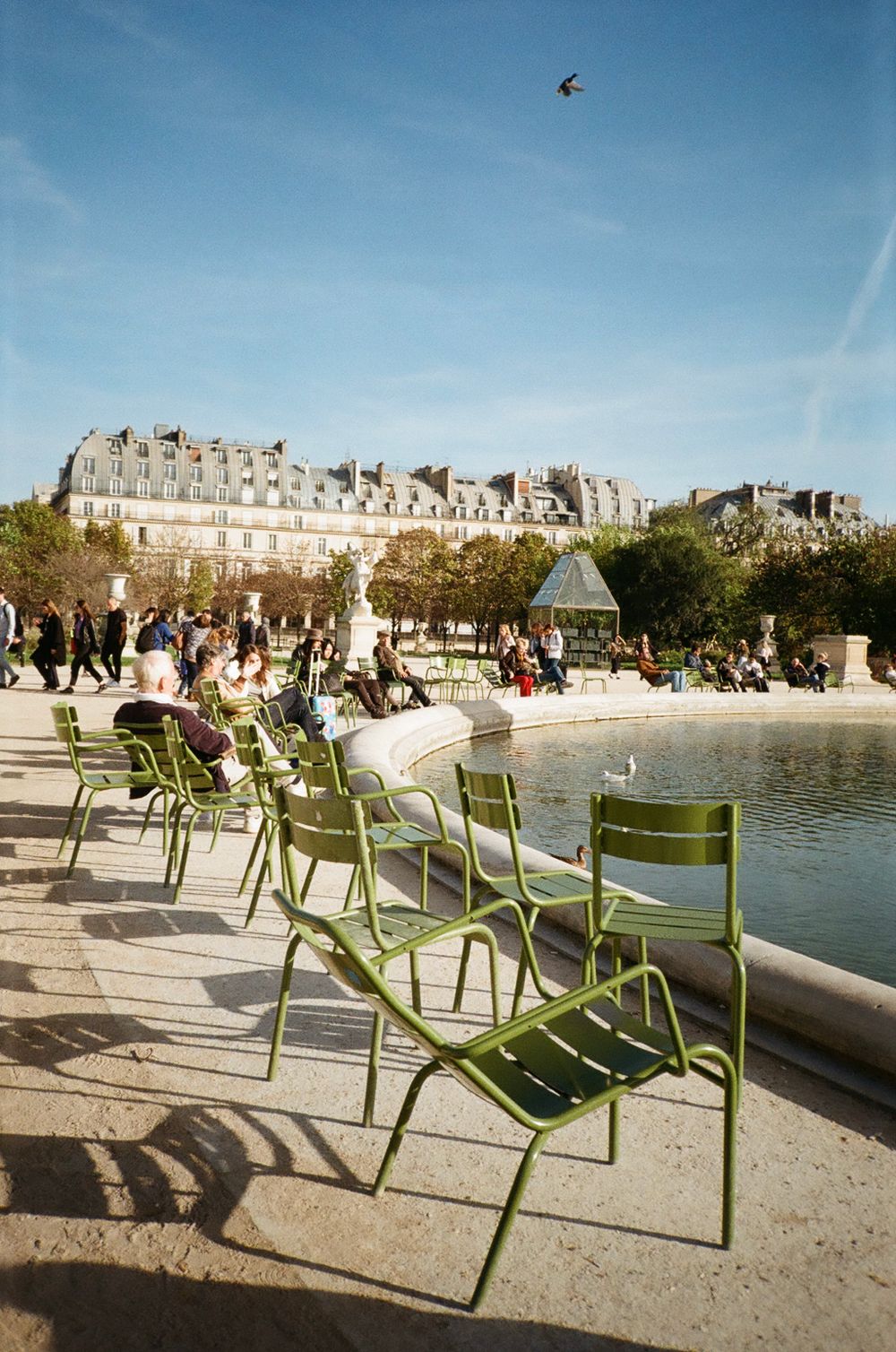 Green metal chairs line the edge of a pond in Paris with classic Haussmann buildings in the background.