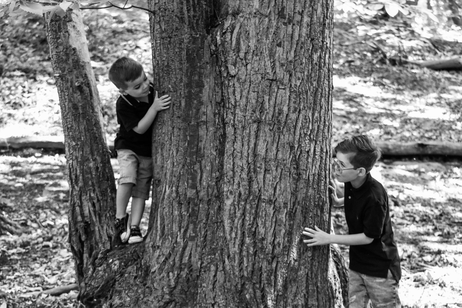 Black and white photo series showing children playing hide and seek behind trees.