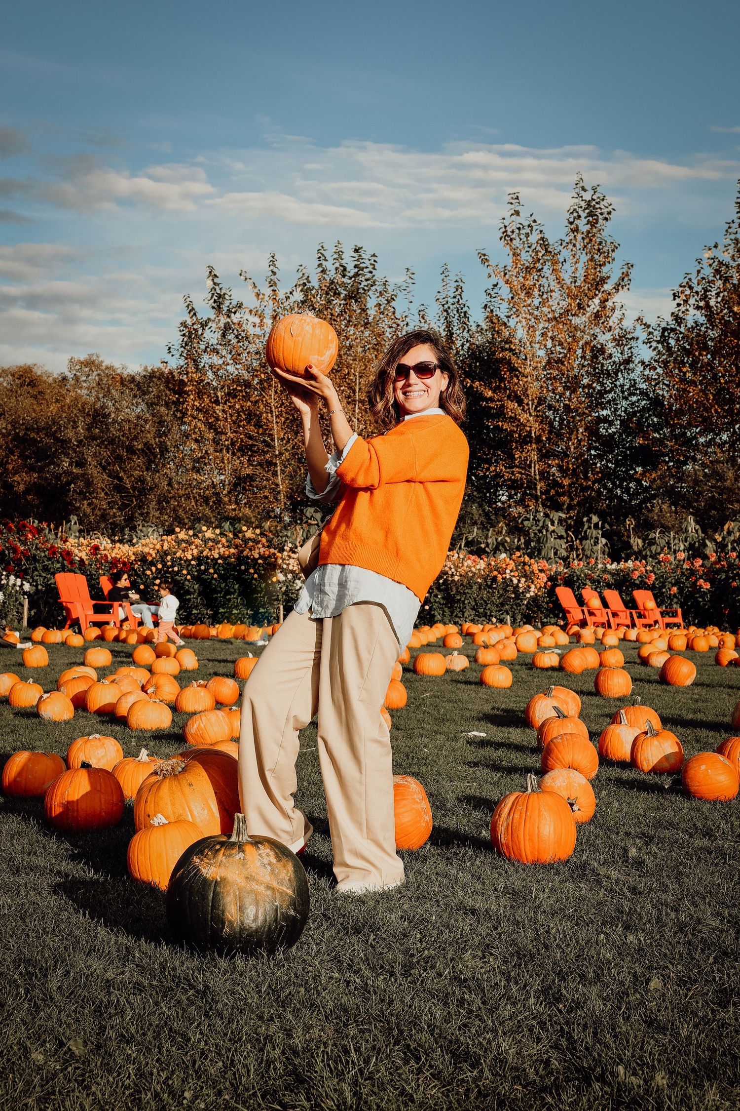 A pumpkin patch visitor in orange sweater selects a large pumpkin among scattered gourds.
