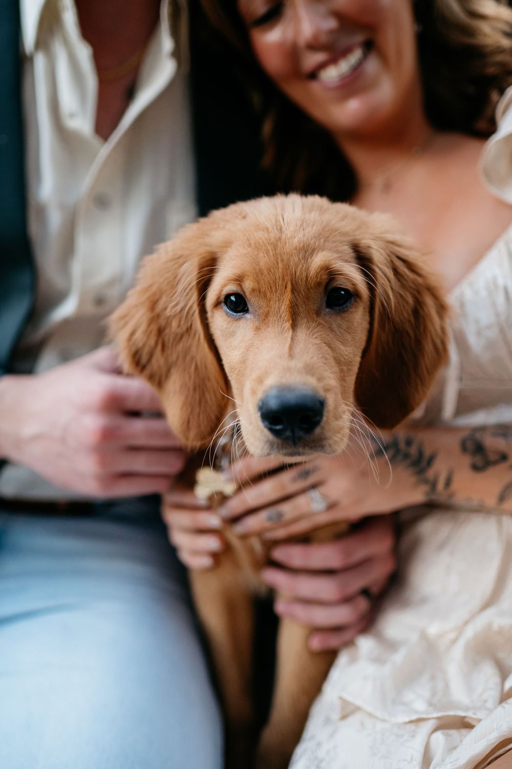 Close-up shots showcase an adorable golden retriever puppy with soulful eyes during a photo session.