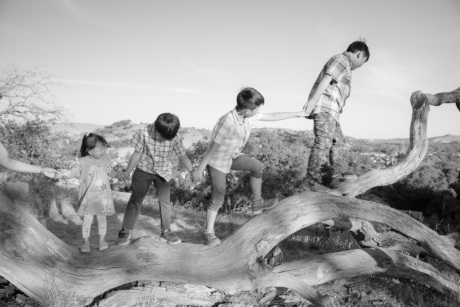 Four children walk on a fallen tree at their family photo session in San Jose