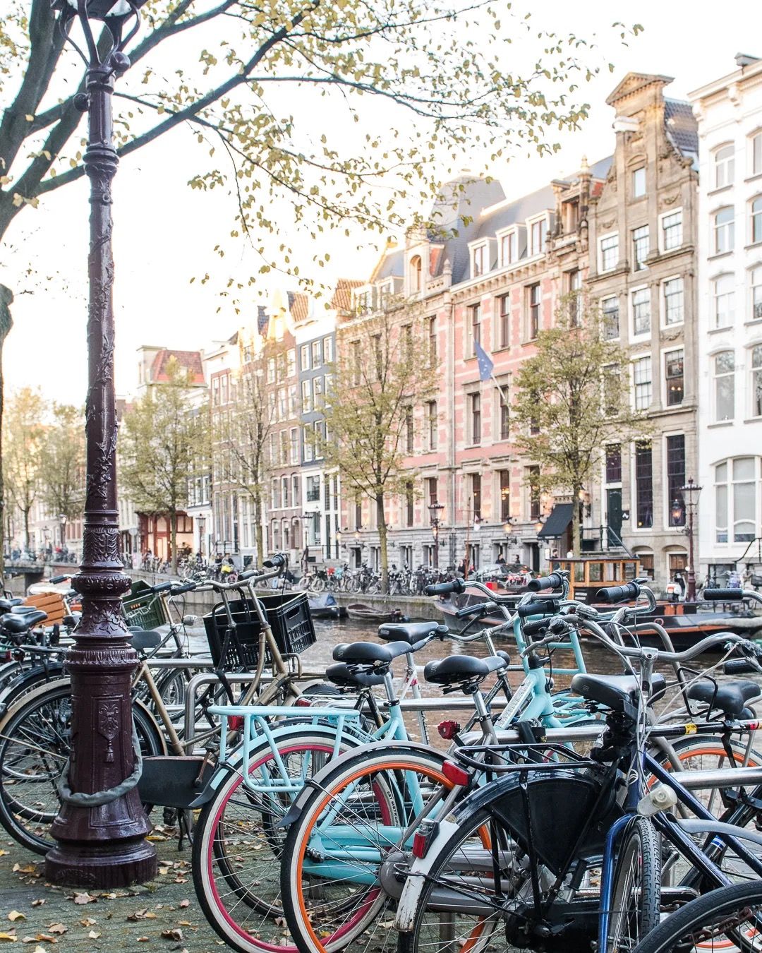Dozens of bicycles parked beside an Amsterdam canal with classic canal houses in soft afternoon light.