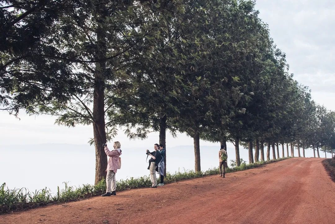 Cyclists ride along a tree-lined red dirt road, capturing rural travel, adventure and scenic countryside views.