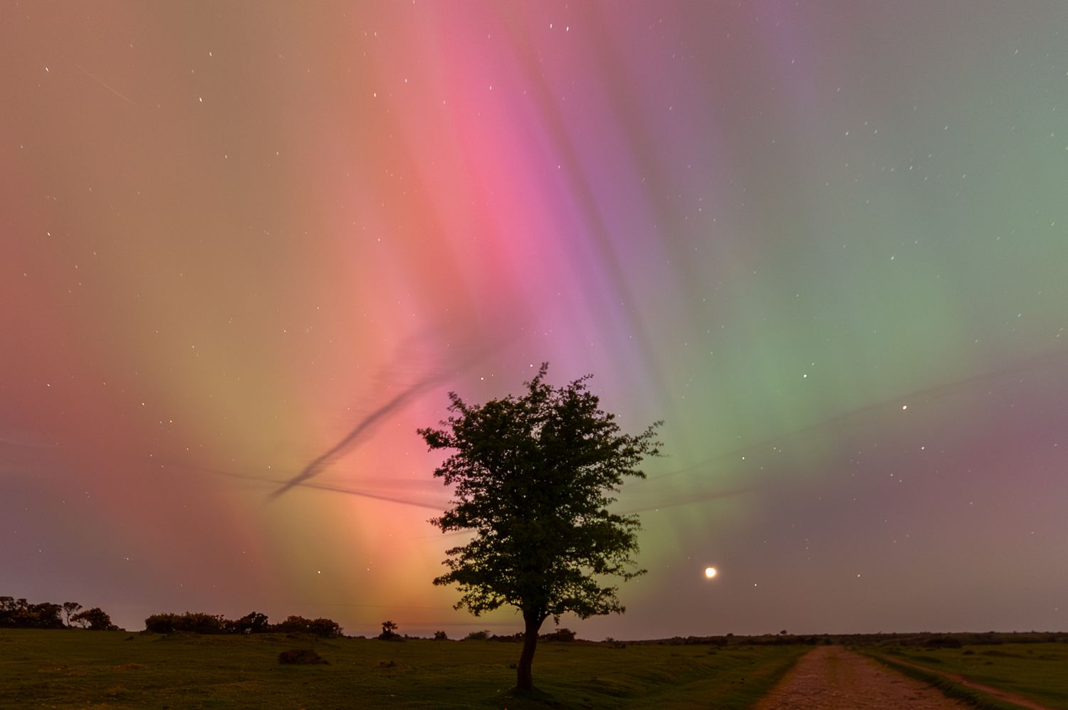 Aurora cornwall