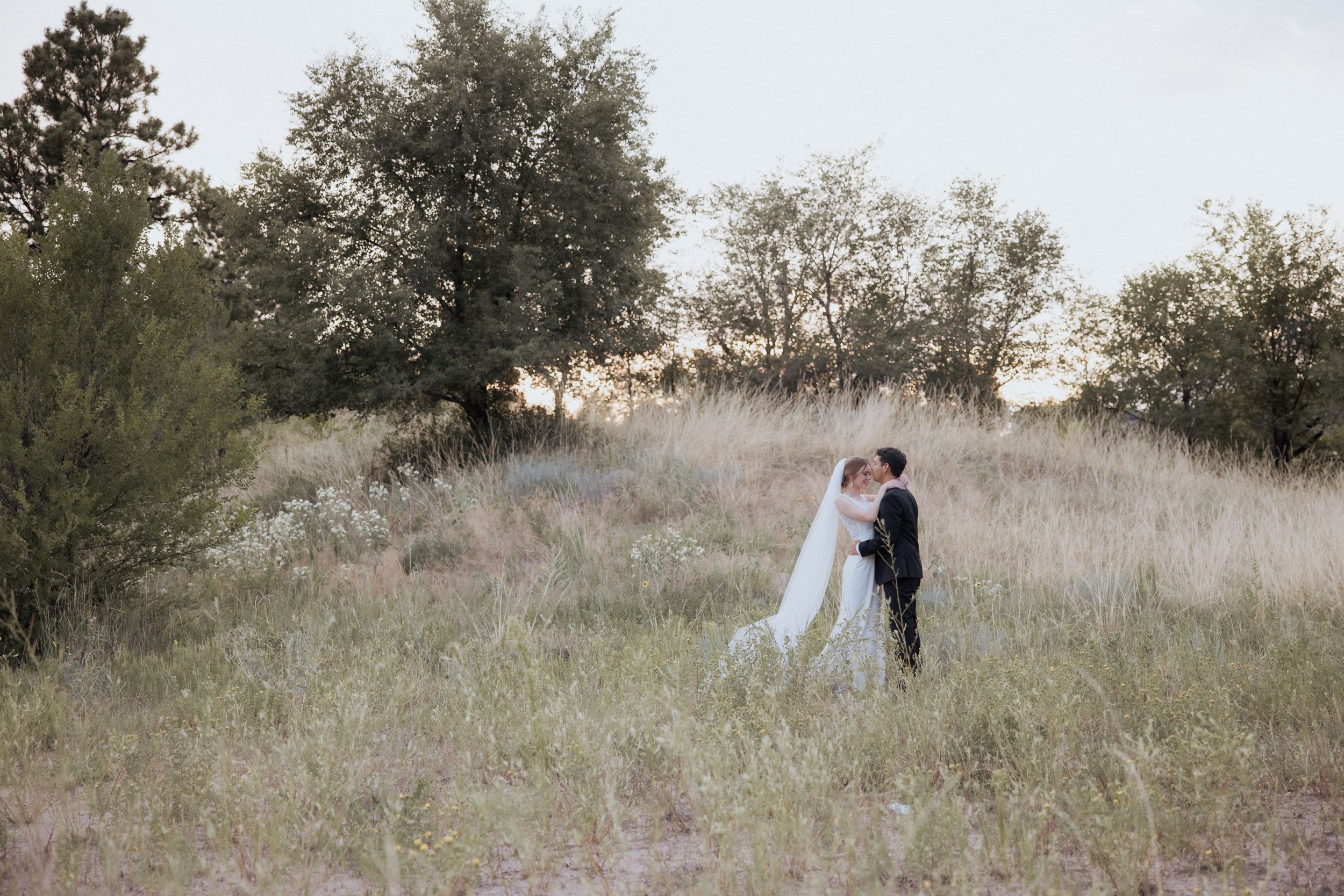 A romantic wedding couple embraces in a golden field at sunset surrounded by trees and tall grass.