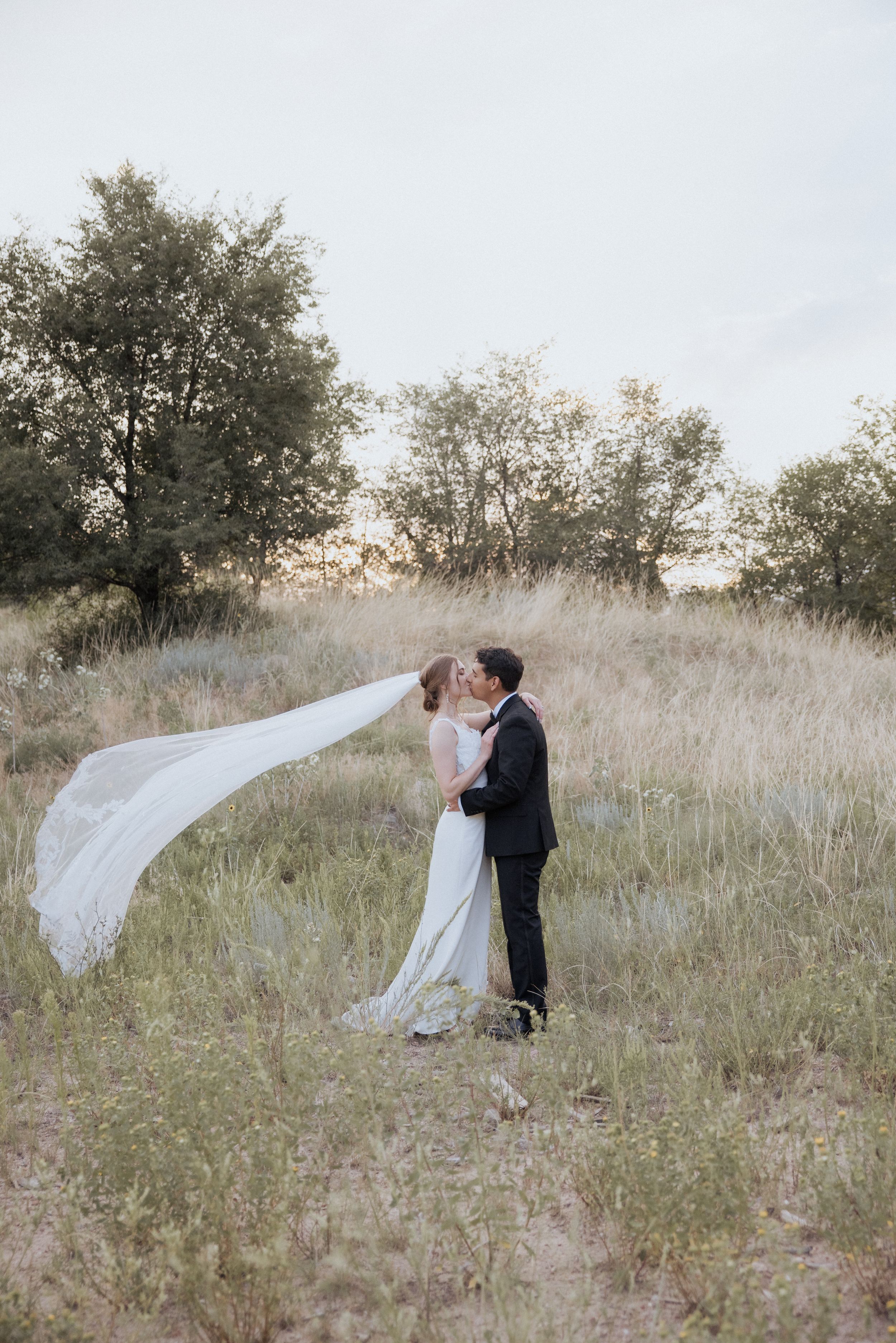 A wedding couple poses in a field as the bride's veil flows dramatically in the wind.