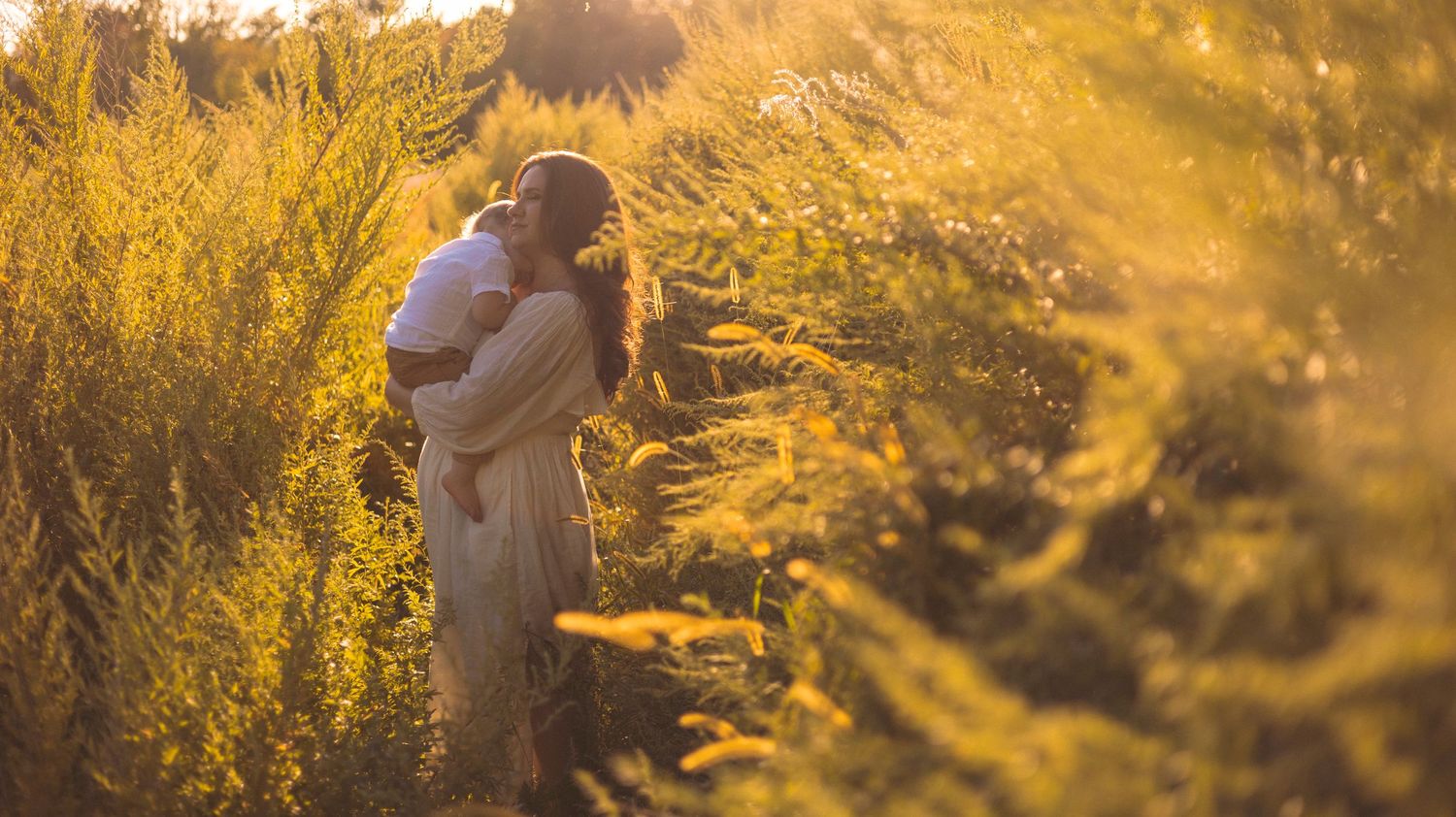 A silhouette stands in a golden field at sunset with glowing backlight illuminating the tall grass and foliage.
