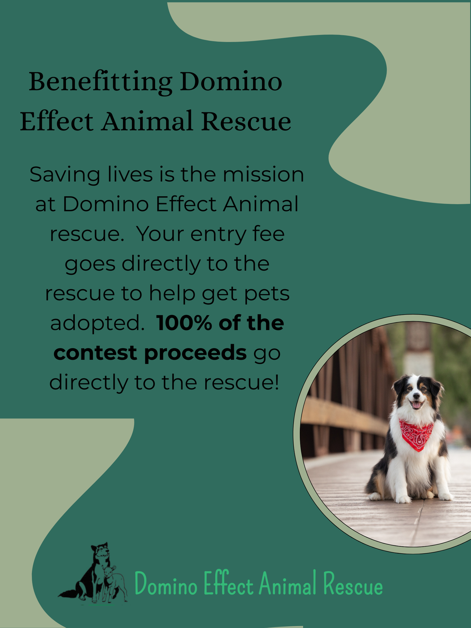 A social media wall gallery contest banner with dog photography displayed on a green background.