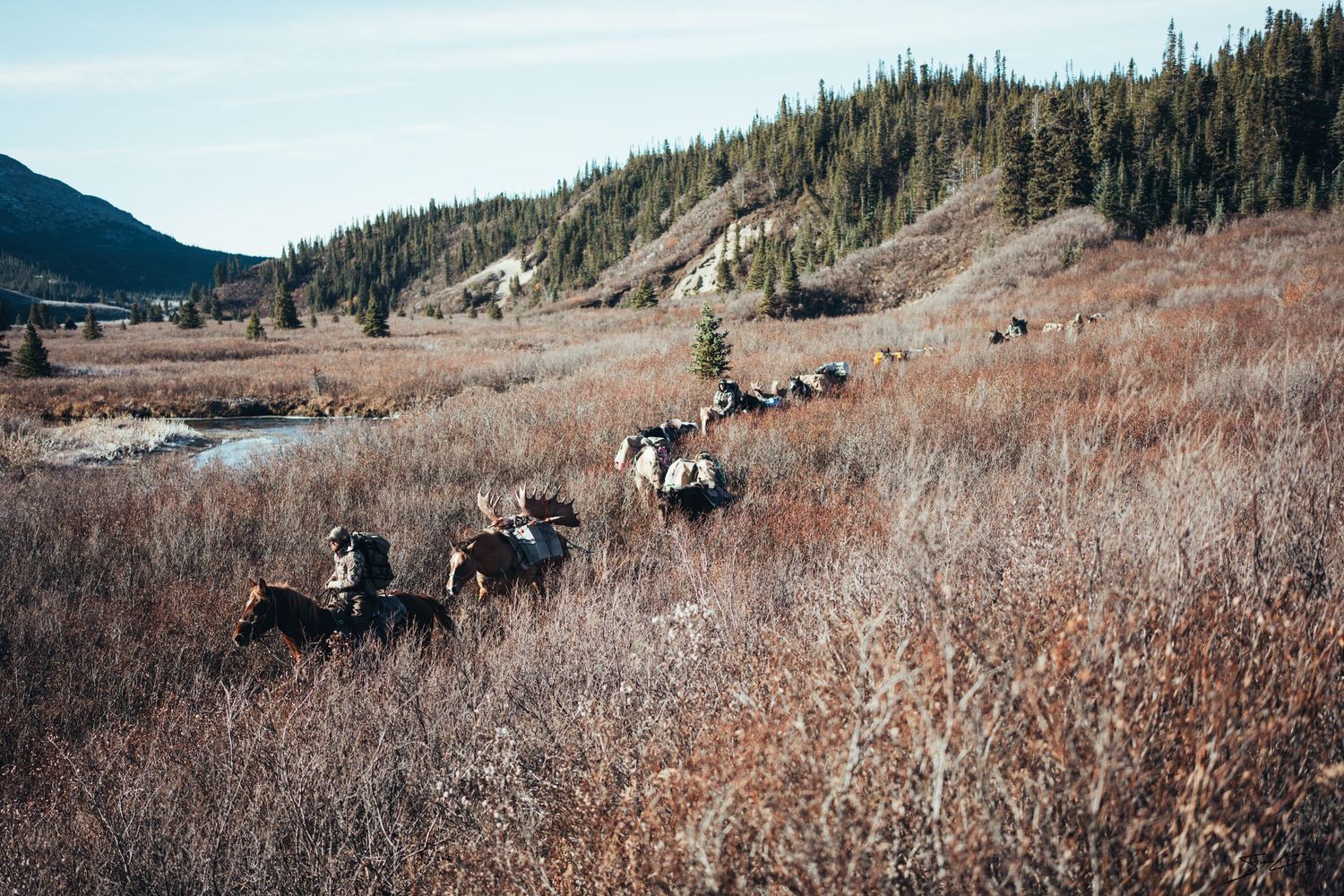 Group of riders on horseback moving through autumn grassland with mountains in background.