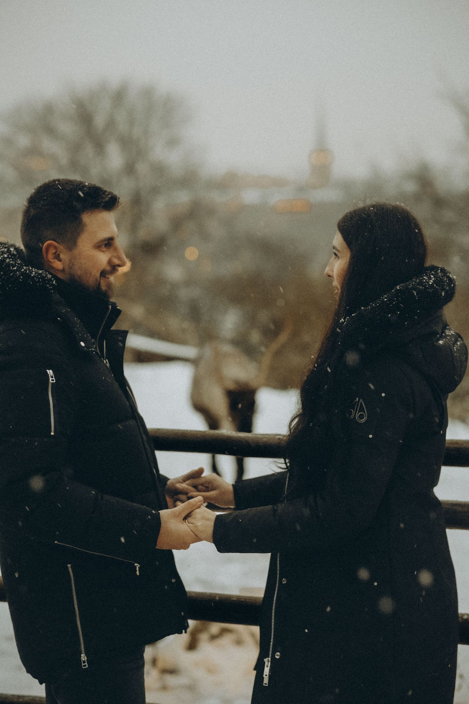 couple holding hands at Skansen with reindeers in the background while being captured by vacation photographer in Stockholm