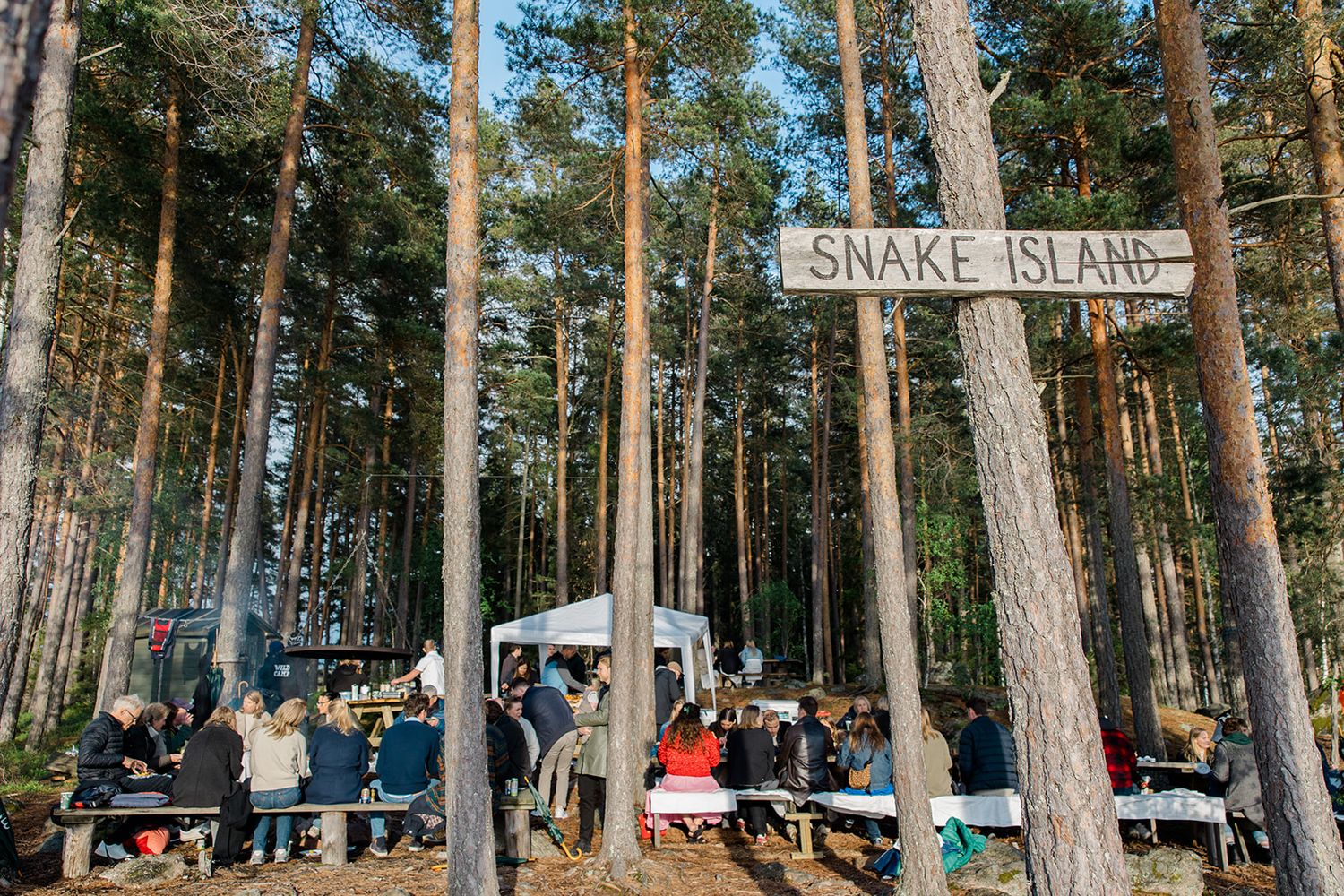 Tall pine trees line a wooded campground with parked cars and a wooden Snake Island sign visible in the distance.