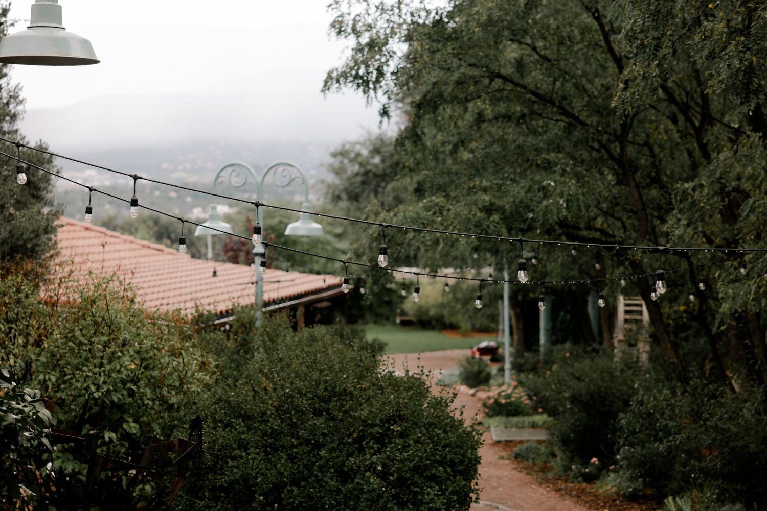 Seven connected panoramic photos show a winding residential street lined with trees and utility poles on an overcast day.