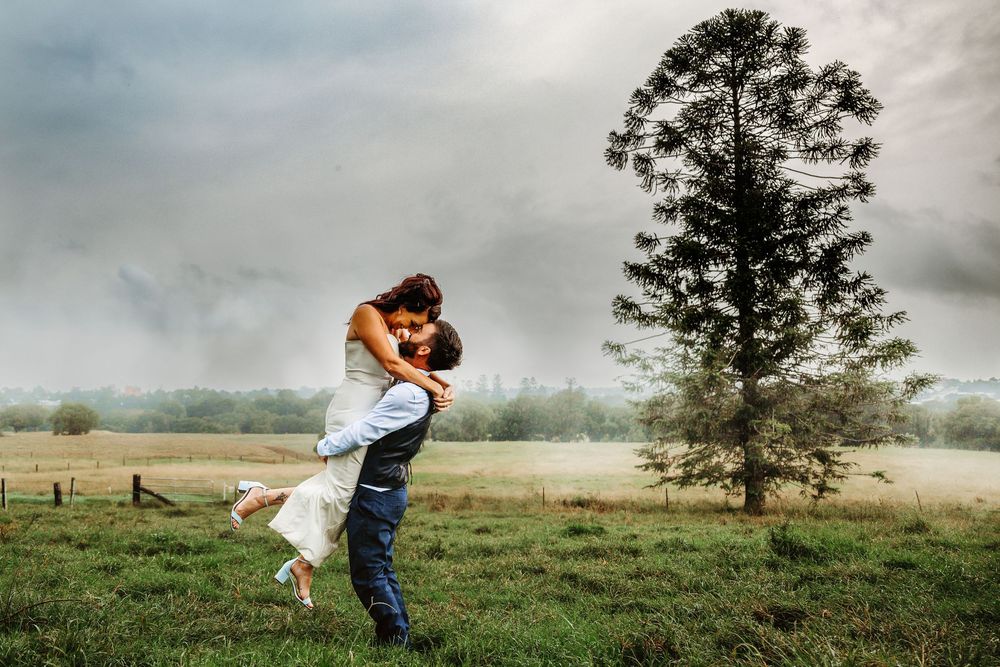 A romantic scene in a misty field with a lone tree on a cloudy day.