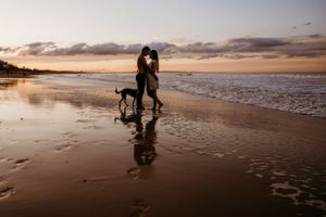 A couple walks their dog along a misty beach at sunset with reflections in the wet sand.